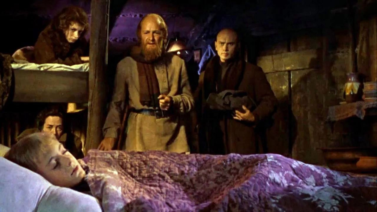 The Brothers Karamazov İndir - görsel 7