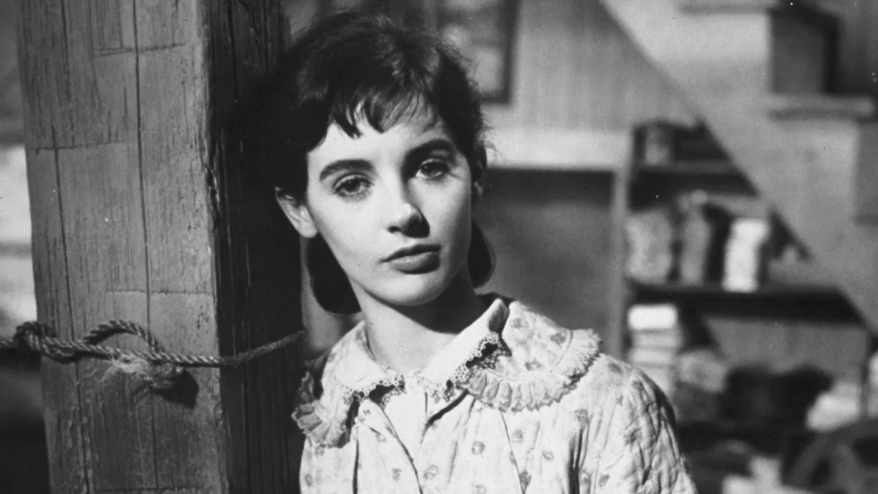Anne Frank'in Hatıra Defteri İndir - görsel 5