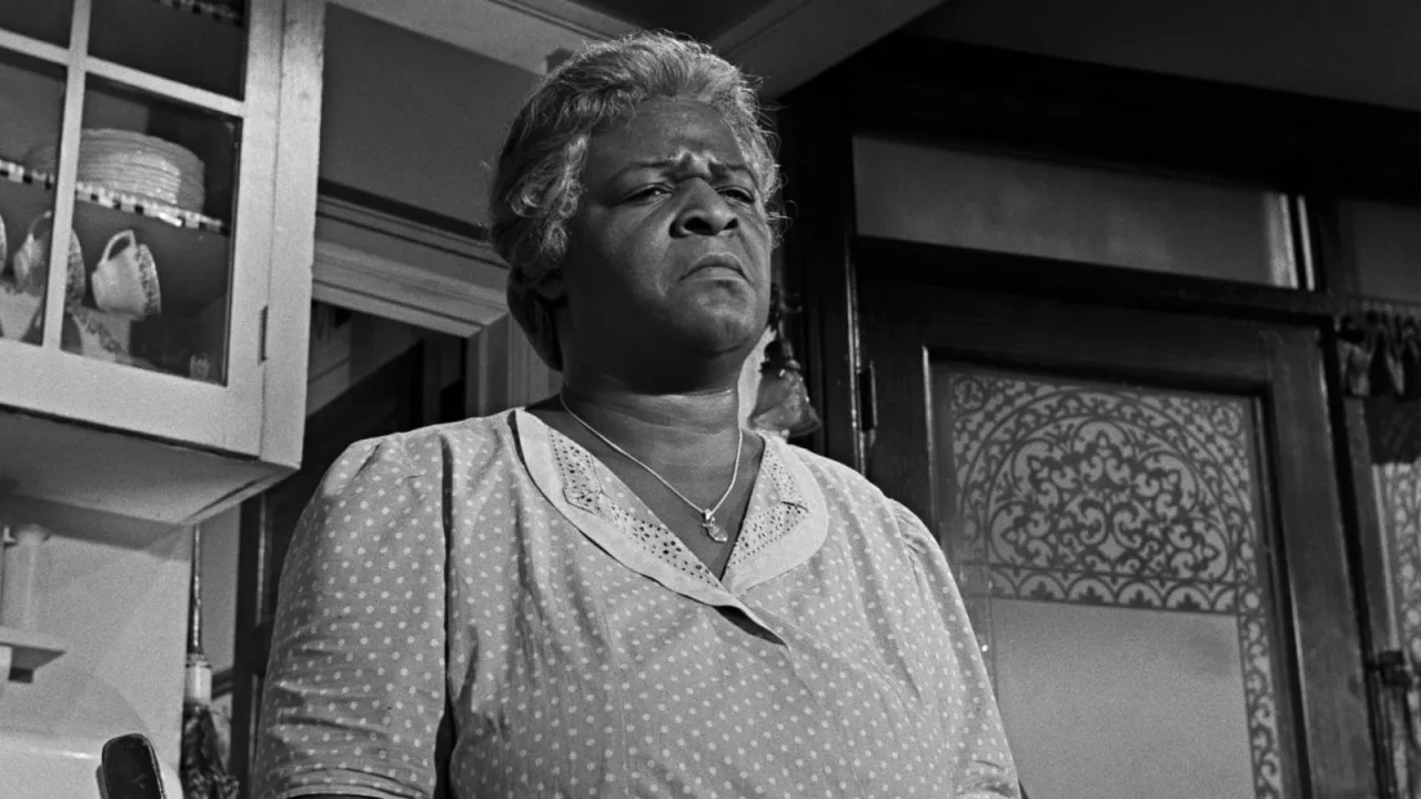 A Raisin in the Sun İndir - görsel 10