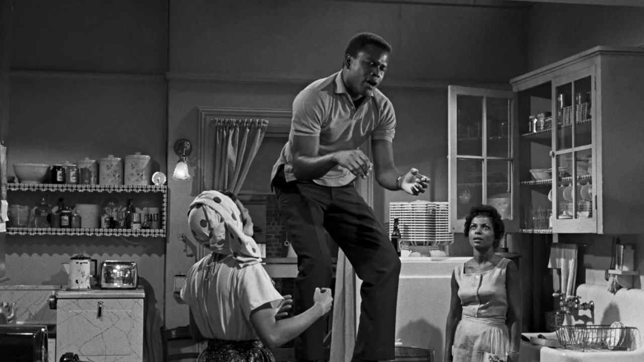 A Raisin in the Sun İndir - görsel 2