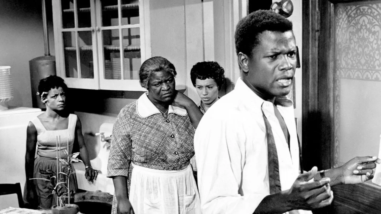 A Raisin in the Sun İndir - görsel 3