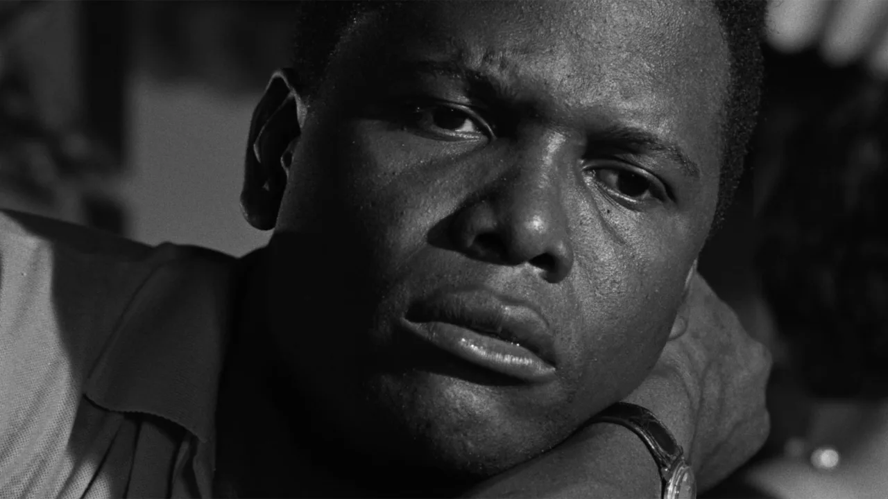 A Raisin in the Sun İndir - görsel 5