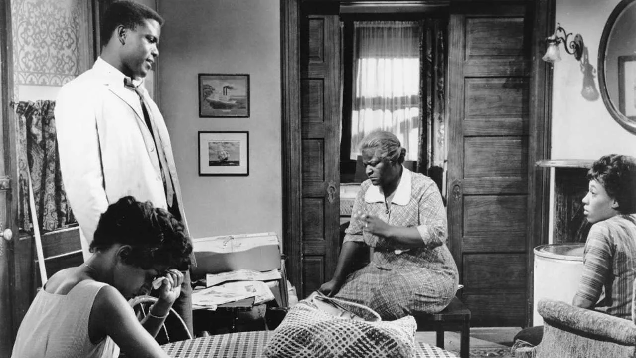 A Raisin in the Sun İndir - görsel 6