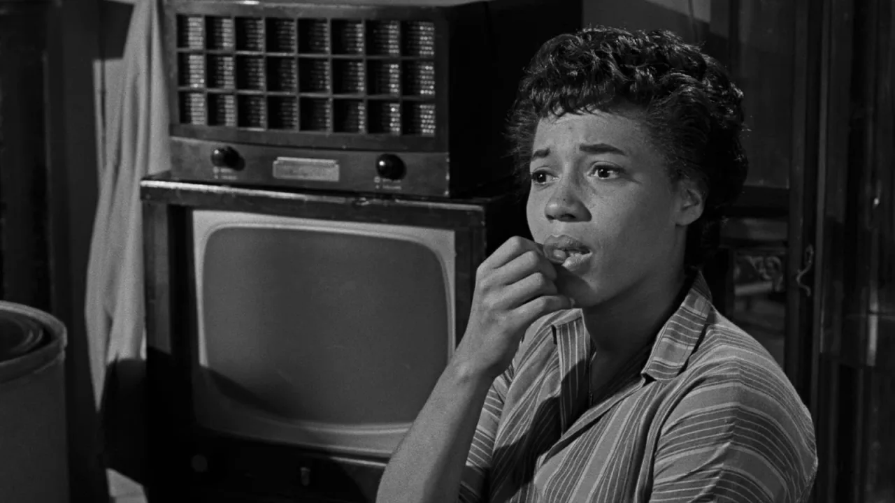 A Raisin in the Sun İndir - görsel 8