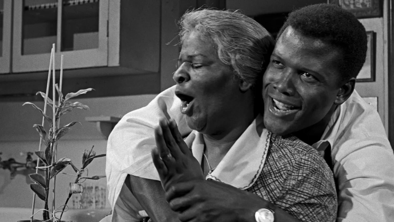 A Raisin in the Sun İndir - görsel 9