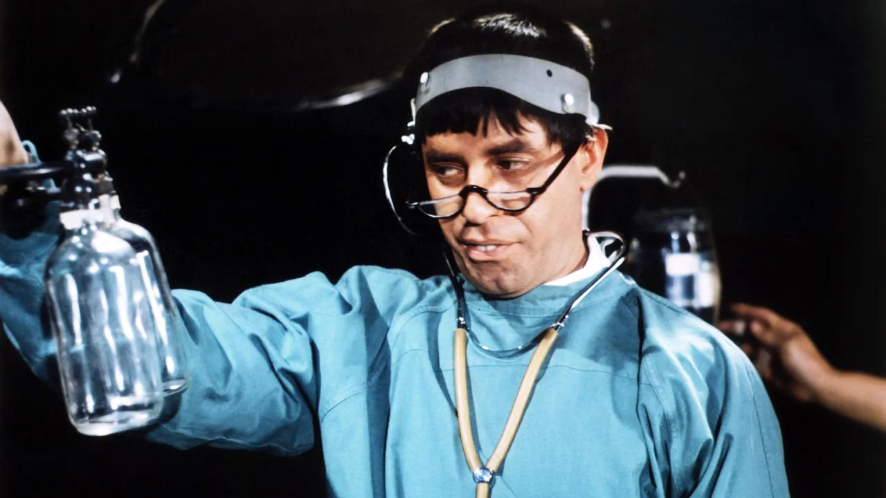 Jerry Lewis Aşk Hocası İndir - görsel 4