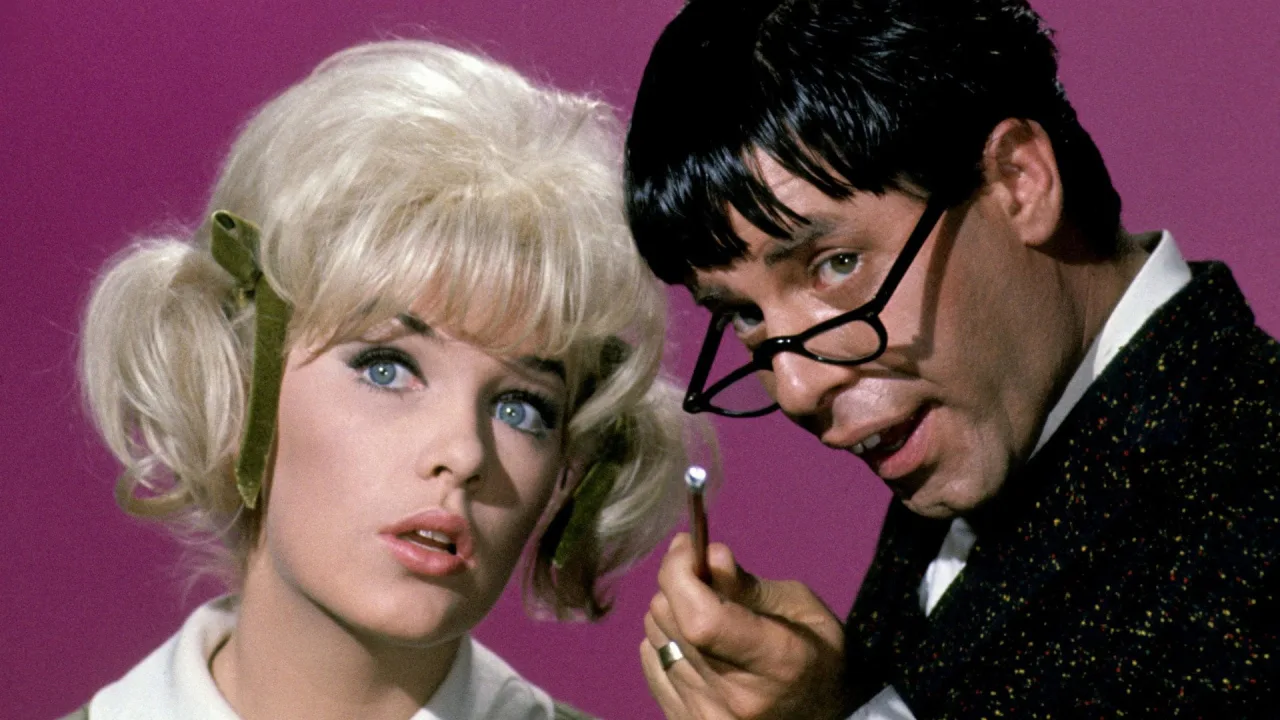 Jerry Lewis Aşk Hocası İndir - görsel 5