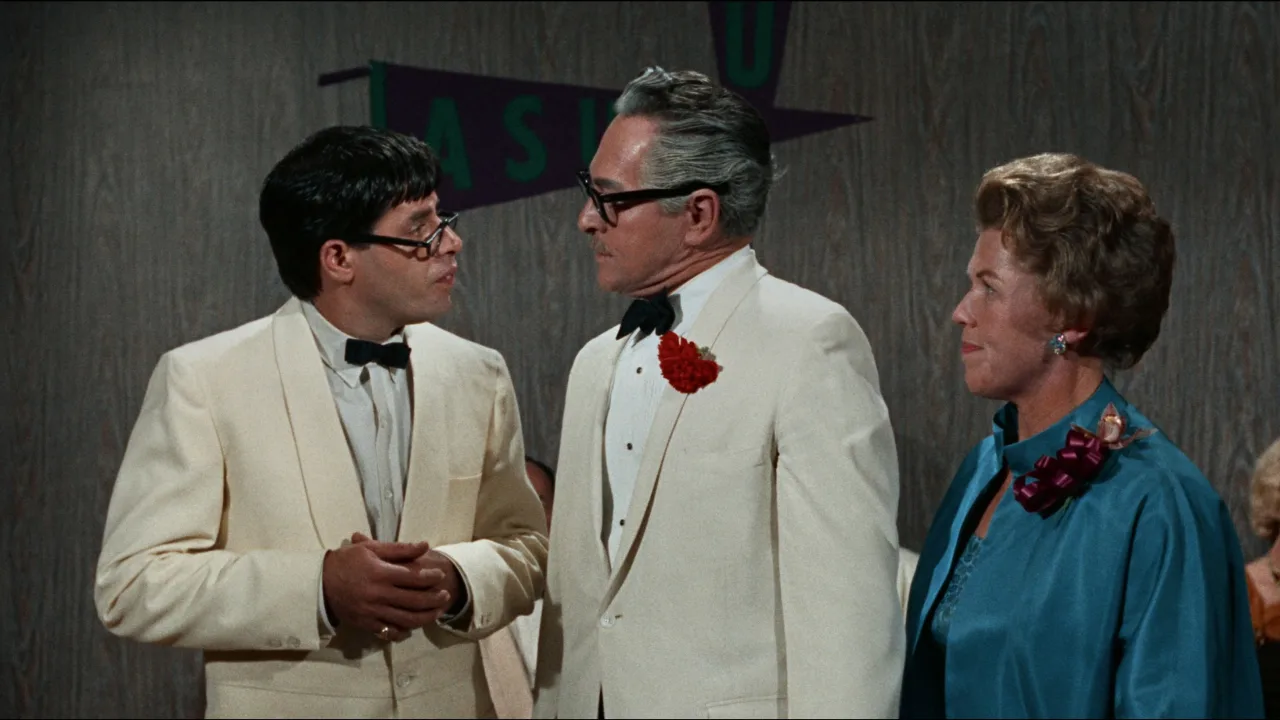 Jerry Lewis Aşk Hocası İndir - görsel 6