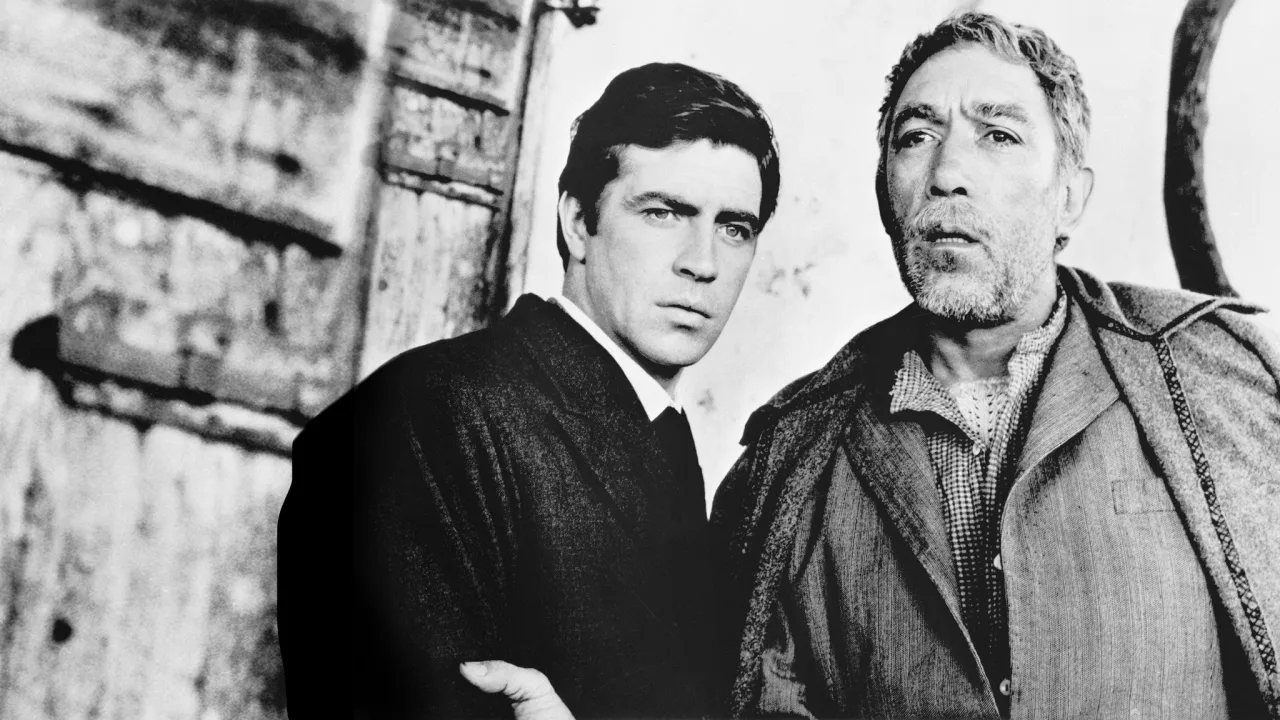 Zorba İndir - görsel 4