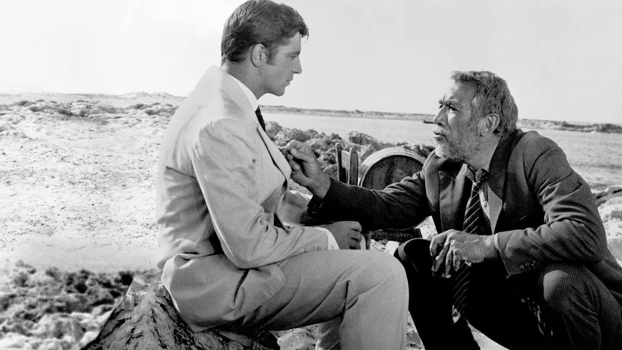 Zorba İndir - görsel 5
