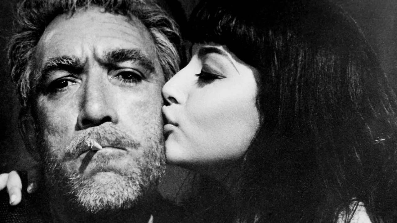 Zorba İndir - görsel 6
