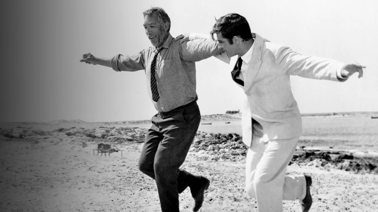 Zorba İndir - görsel 7