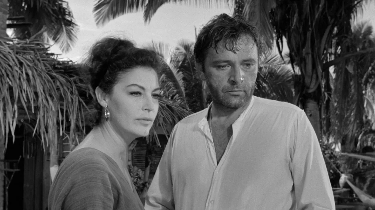 The Night of the Iguana İndir - görsel 2