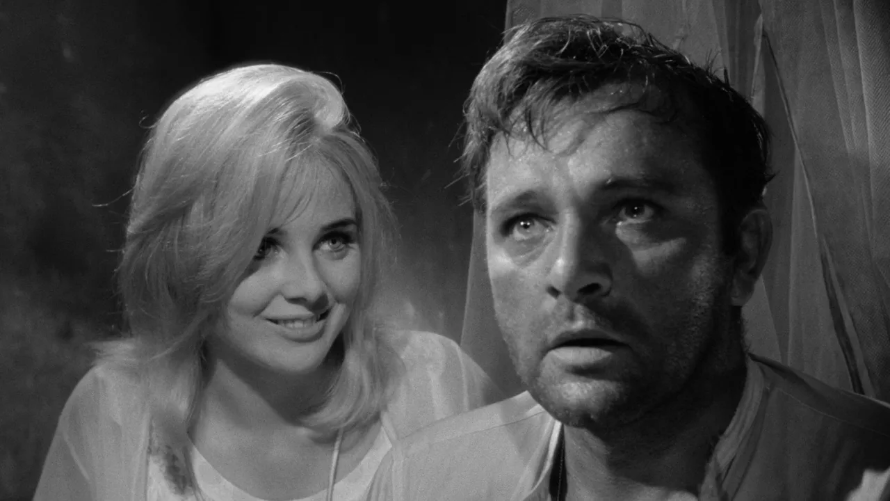 The Night of the Iguana İndir - görsel 6
