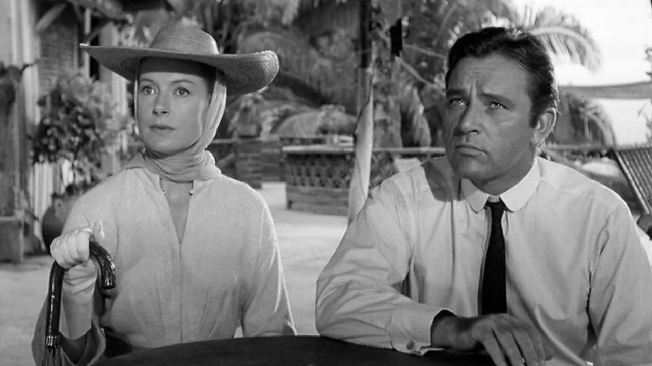 The Night of the Iguana İndir - görsel 7