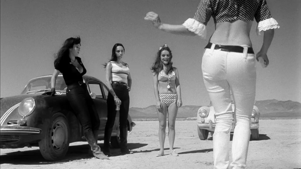 Faster, Pussycat! Kill! Kill! İndir - görsel 6
