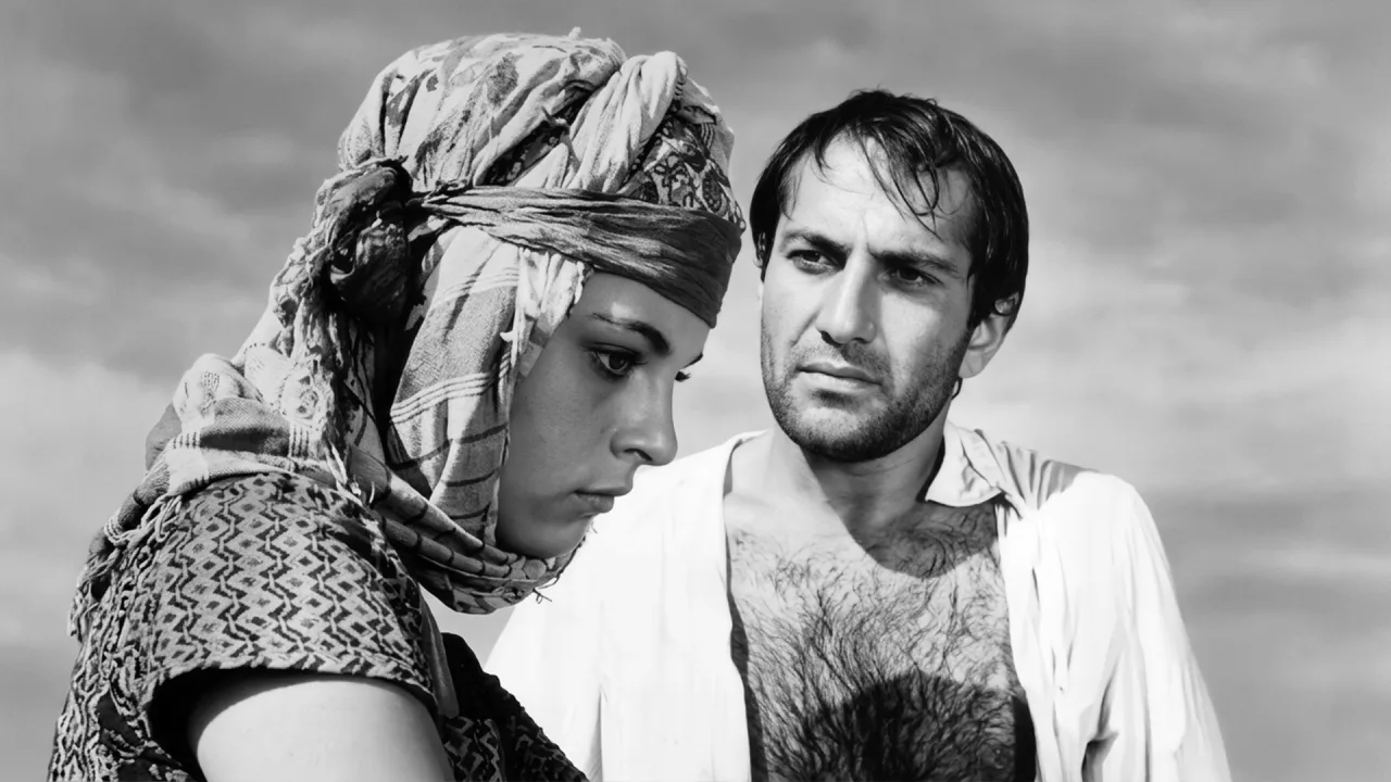 Susuz Yaz İndir - görsel 3