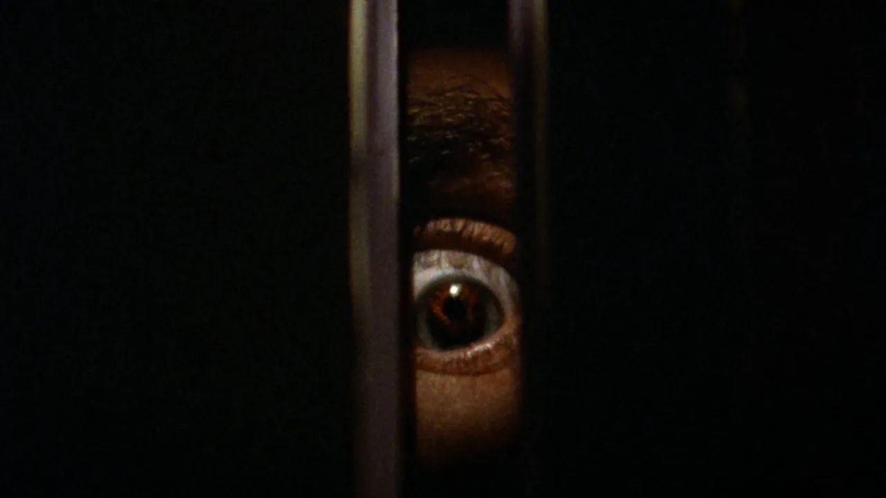 Black Christmas İndir - görsel 6