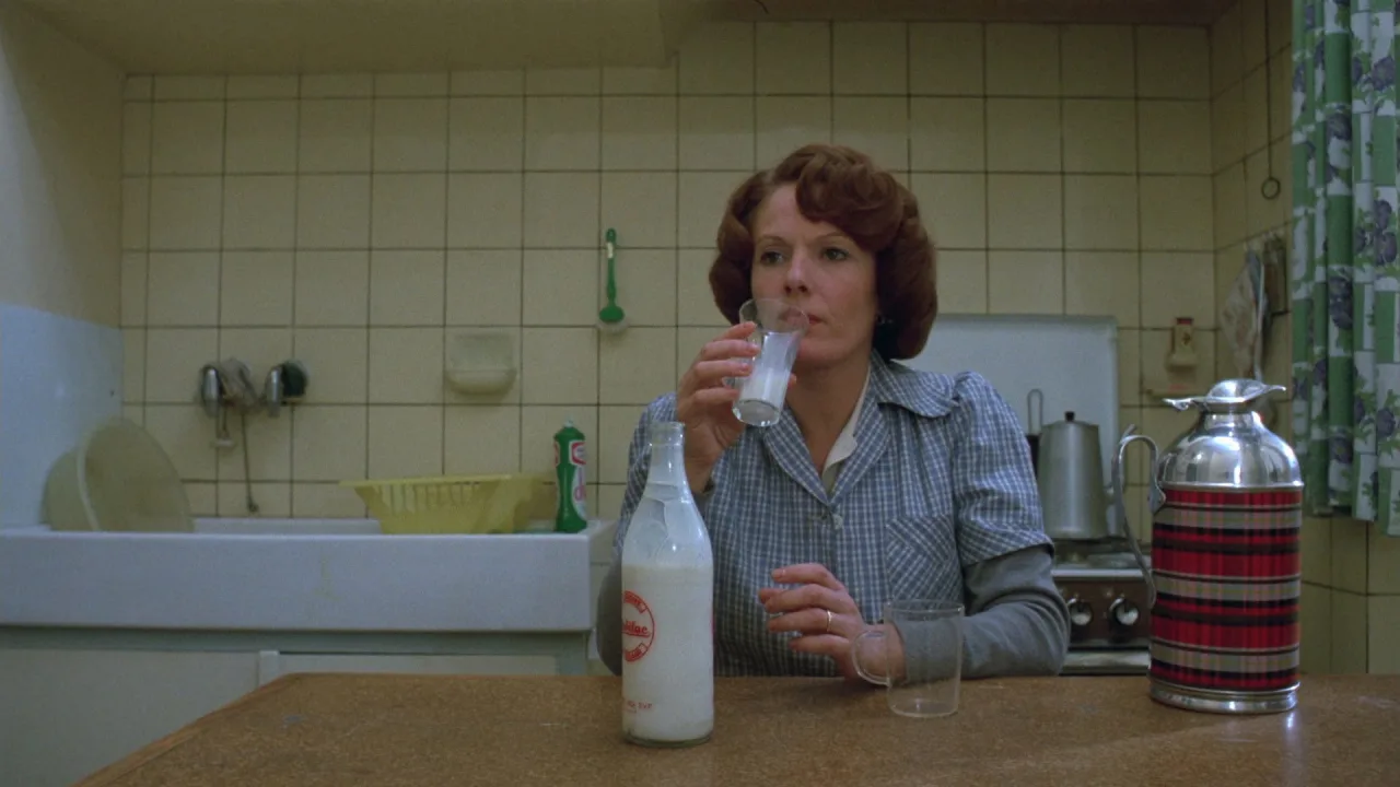 Jeanne Dielman, 23, quai du Commerce, 1080 Bruxelles İndir - görsel 7