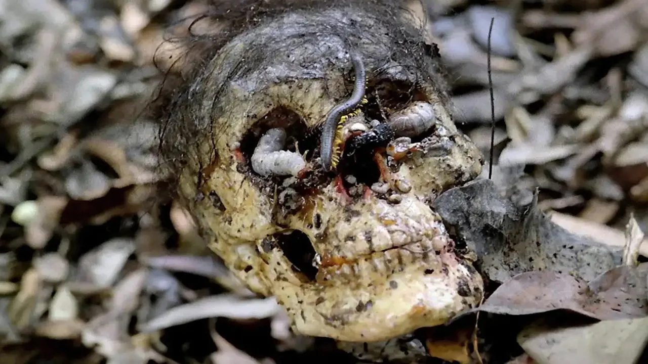 Cannibal Holocaust İndir - görsel 10