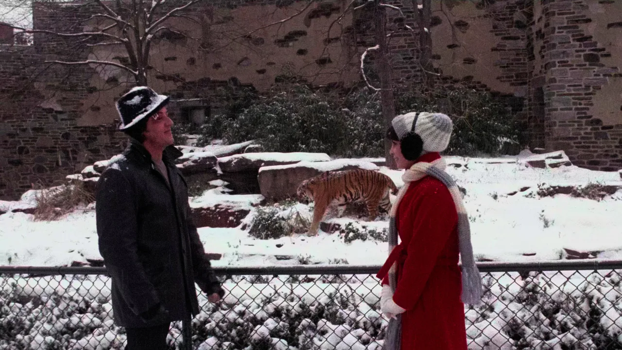 Rocky 2 İndir - görsel 8