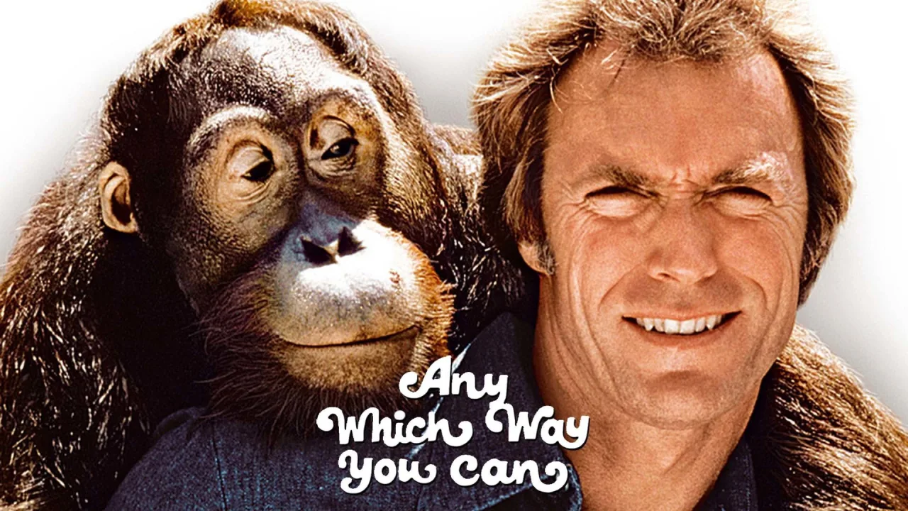 Any Which Way You Can İndir - görsel 9