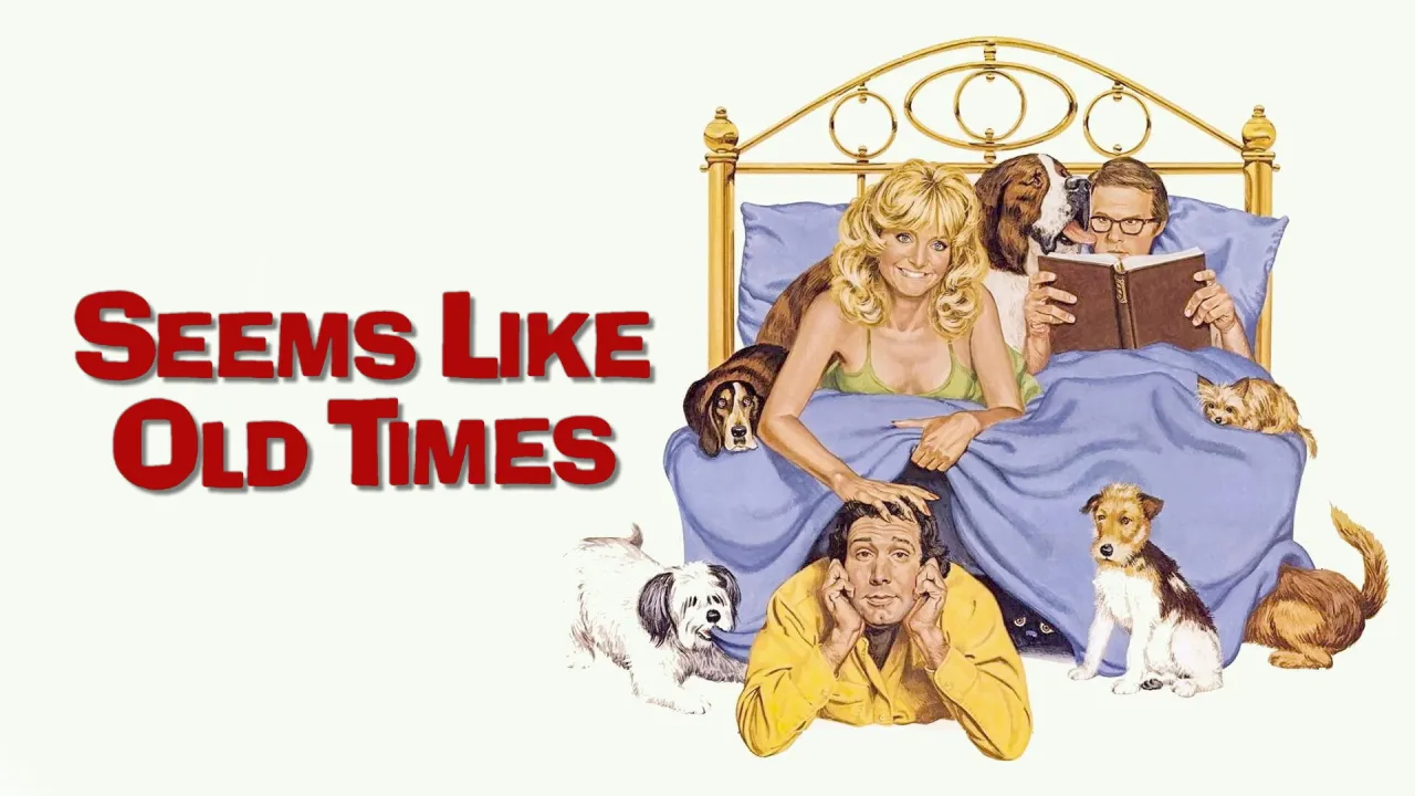 Seems Like Old Times İndir - görsel 7