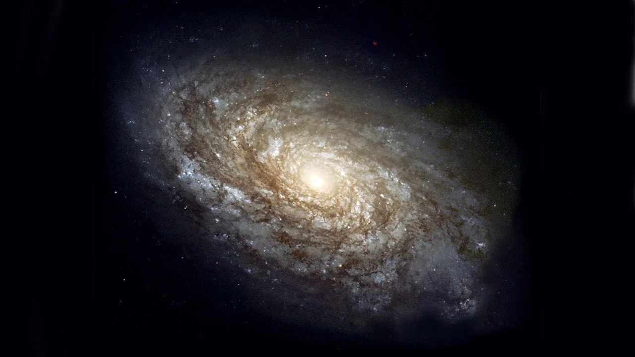 Cosmos: A Personal Voyage 1080p İndir - görsel 6