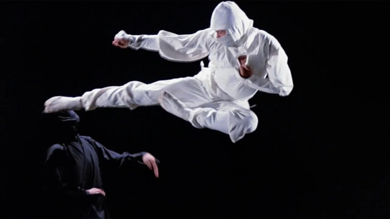 Enter the Ninja - görsel 2