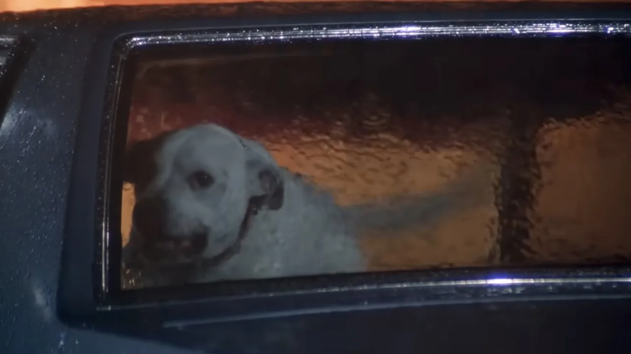 An Eye for an Eye - görsel 6