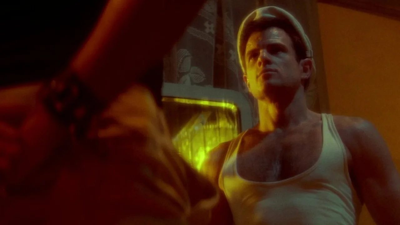 Querelle İndir - görsel 4