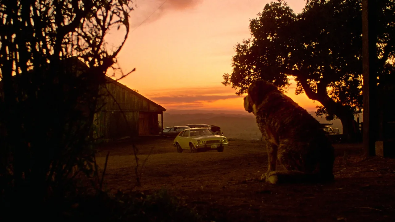 Cujo İndir - görsel 3