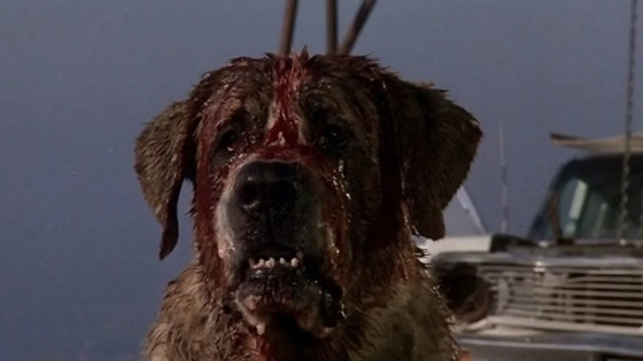 Cujo İndir - görsel 7