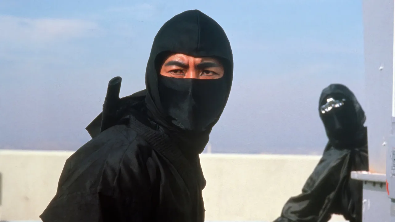 Revenge of the Ninja İndir - görsel 3