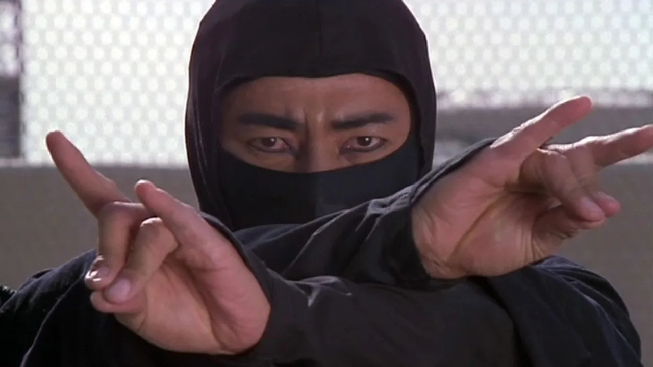 Revenge of the Ninja İndir - görsel 4