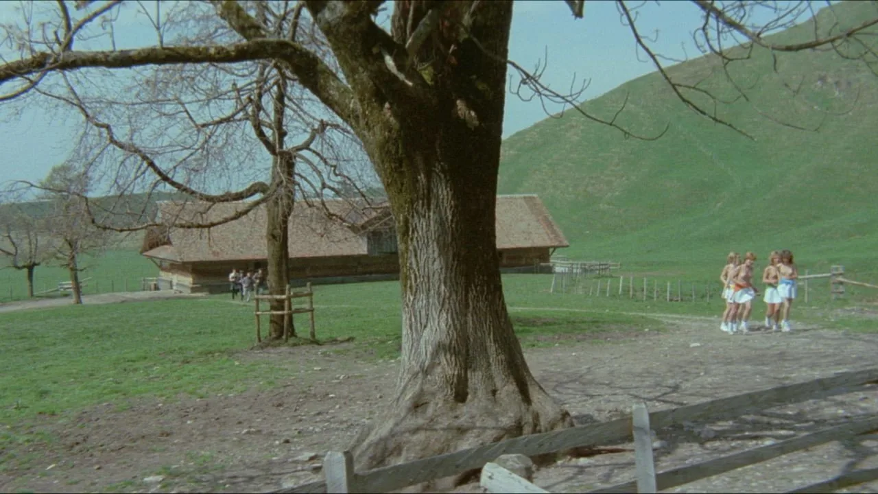 Sechs Schwedinnen auf der Alm İndir - görsel 8