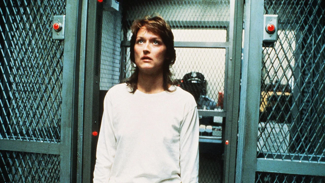 Silkwood İndir - görsel 3