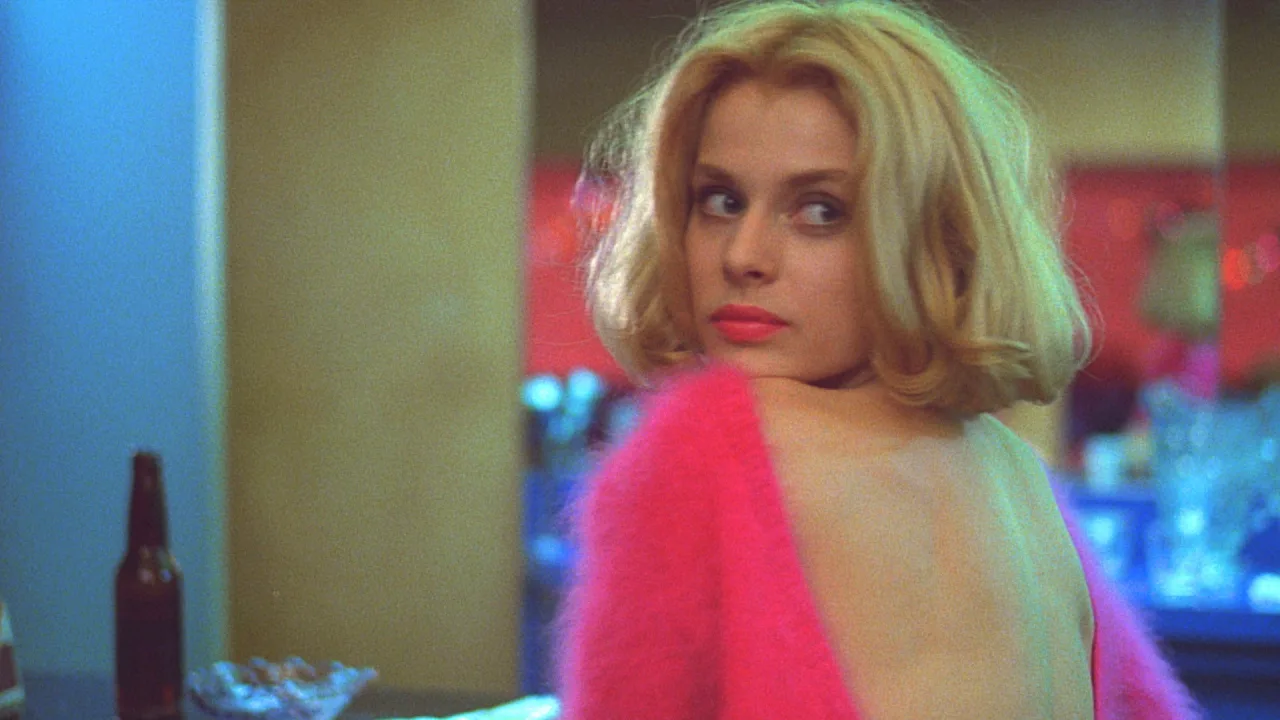 Paris, Texas İndir - görsel 3