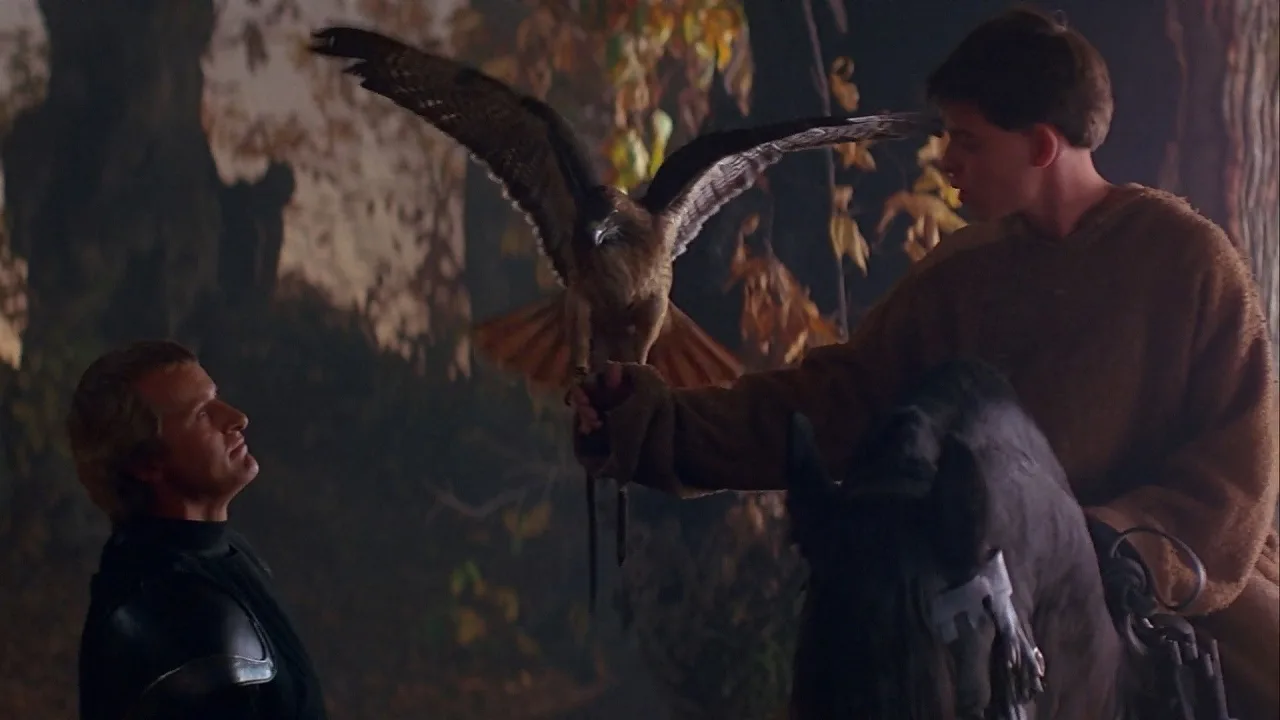 Ladyhawke İndir - görsel 5
