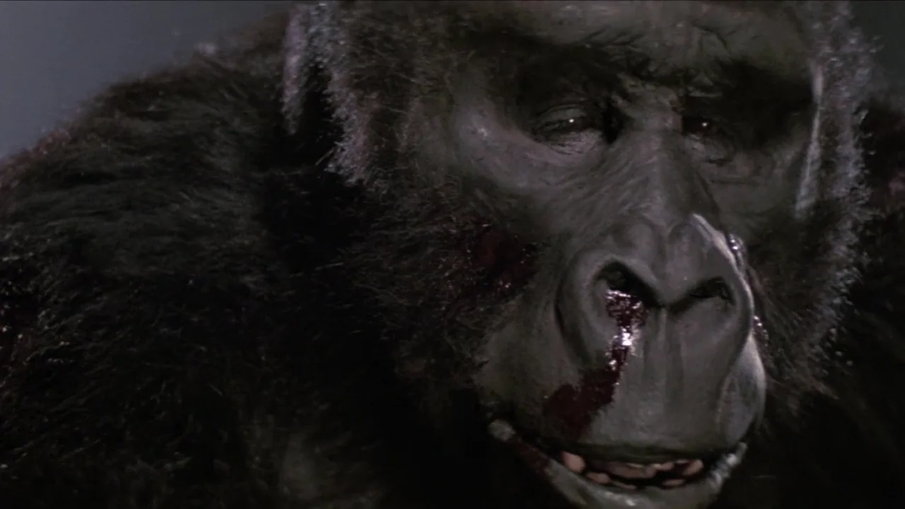 King Kong Yaşıyor İndir - görsel 8