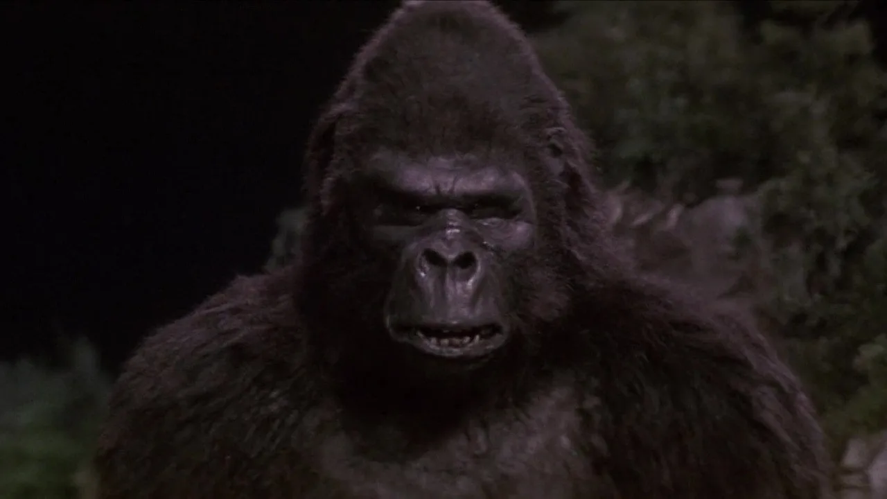 King Kong Yaşıyor İndir - görsel 9