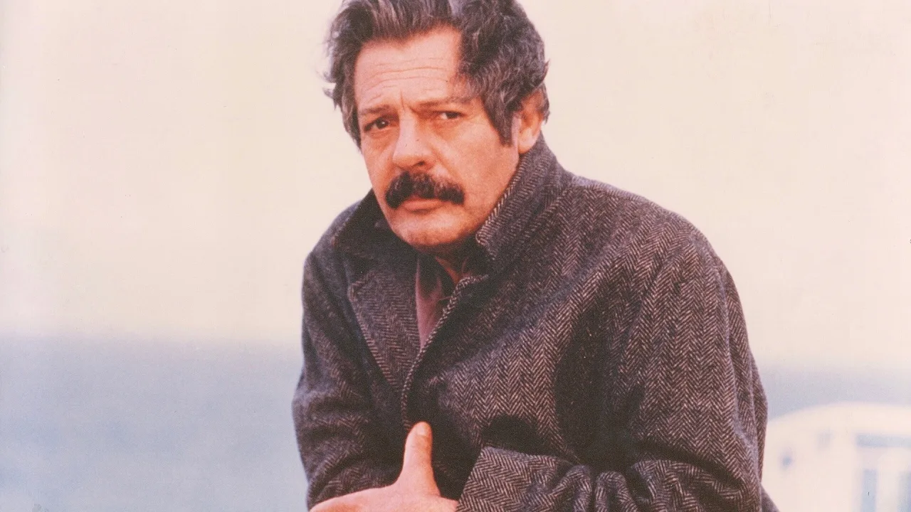 Arıcı - görsel 3