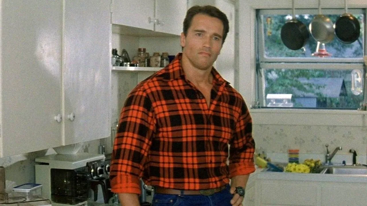 Koruyucu İndir - görsel 10