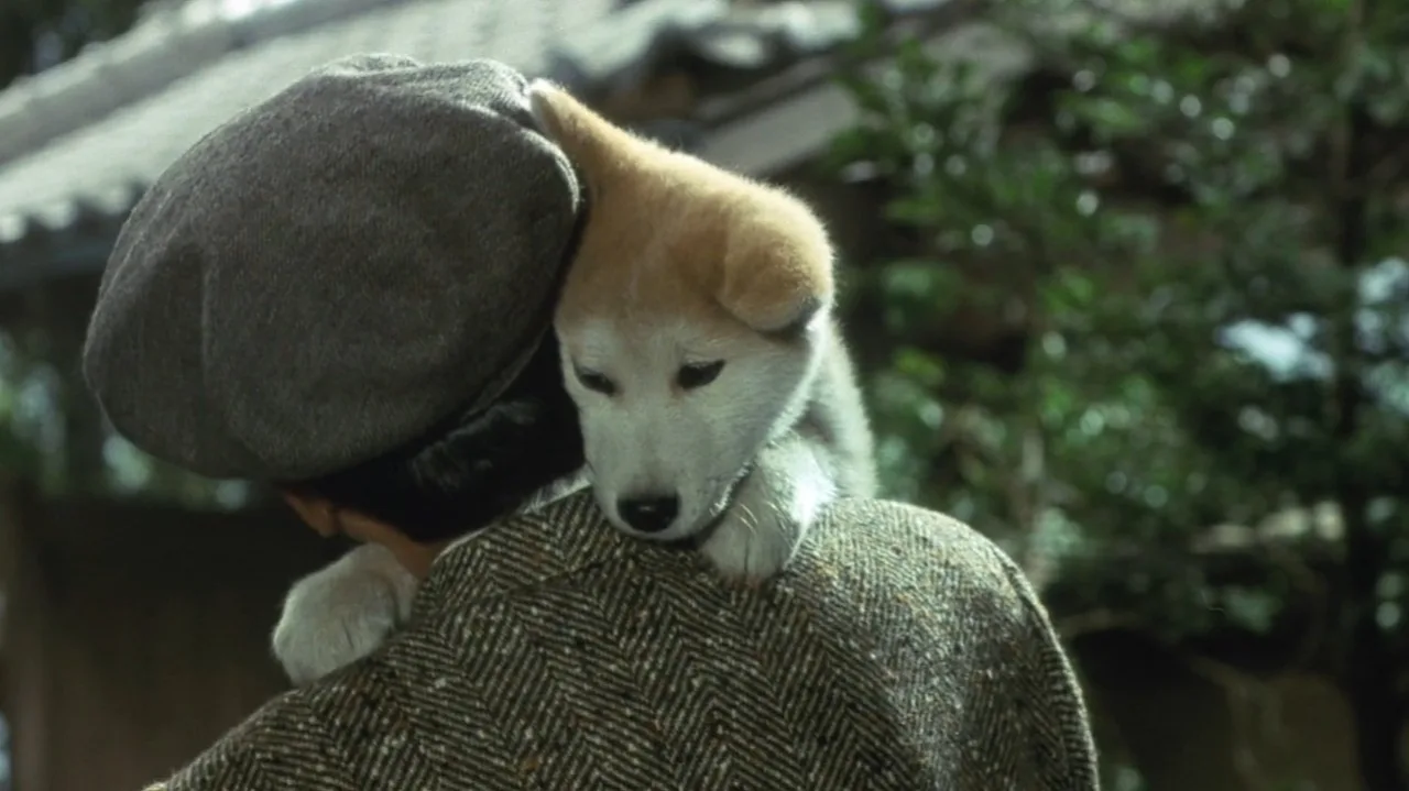 Hachiko Monogatari İndir - görsel 1
