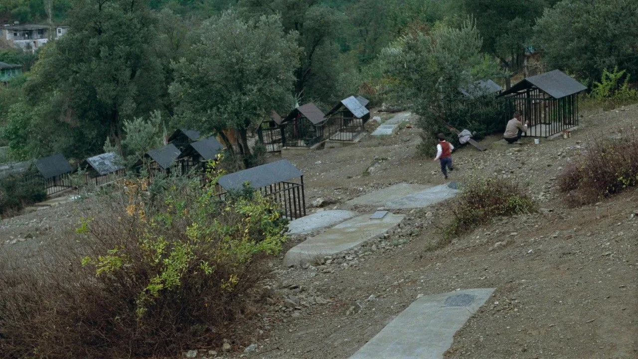 Arkadaşımın Evi Nerede? İndir - görsel 6