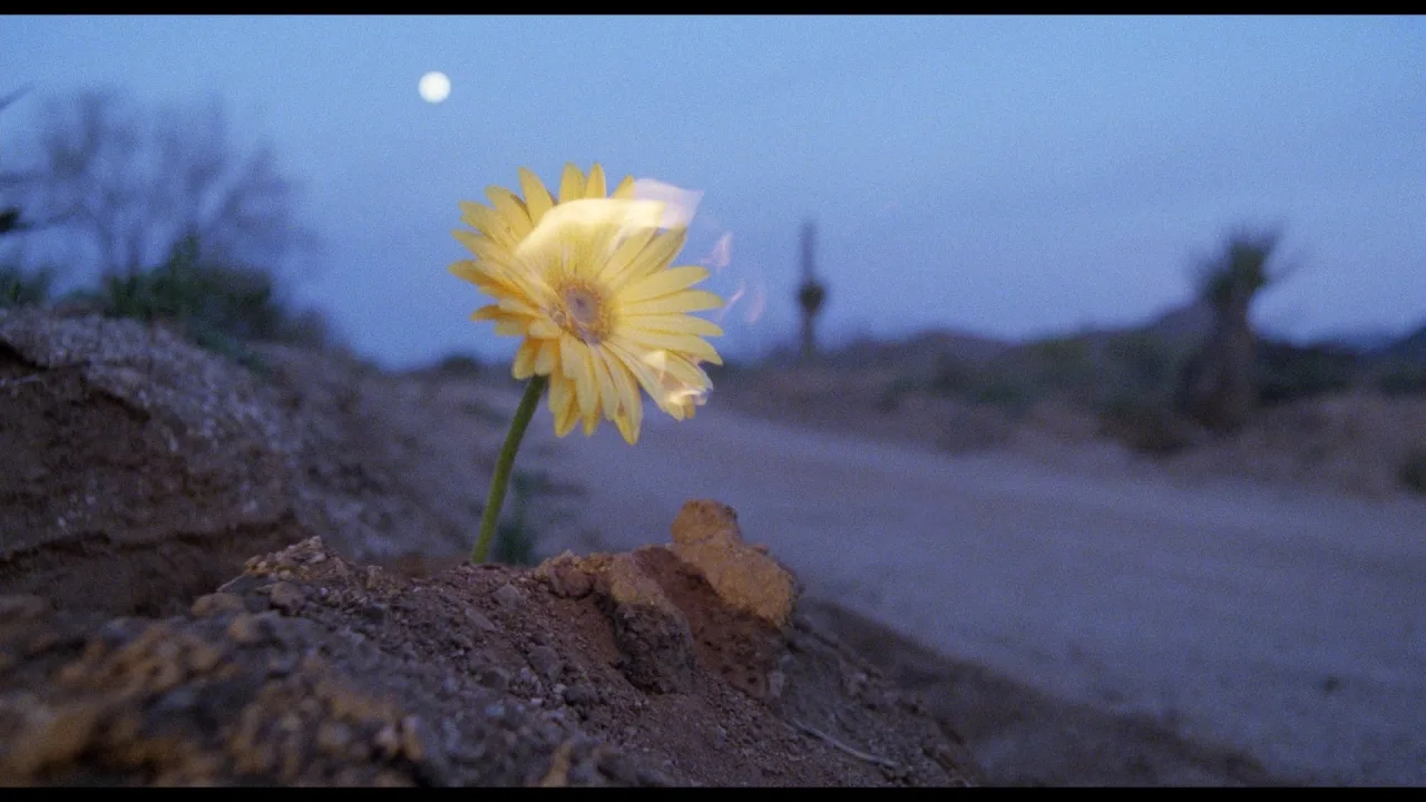 Raising Arizona İndir - görsel 10
