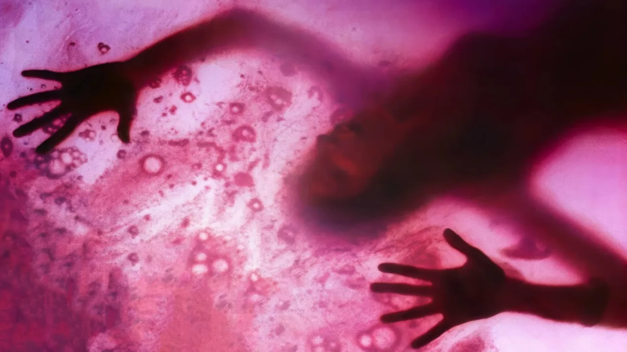 The Blob İndir - görsel 4