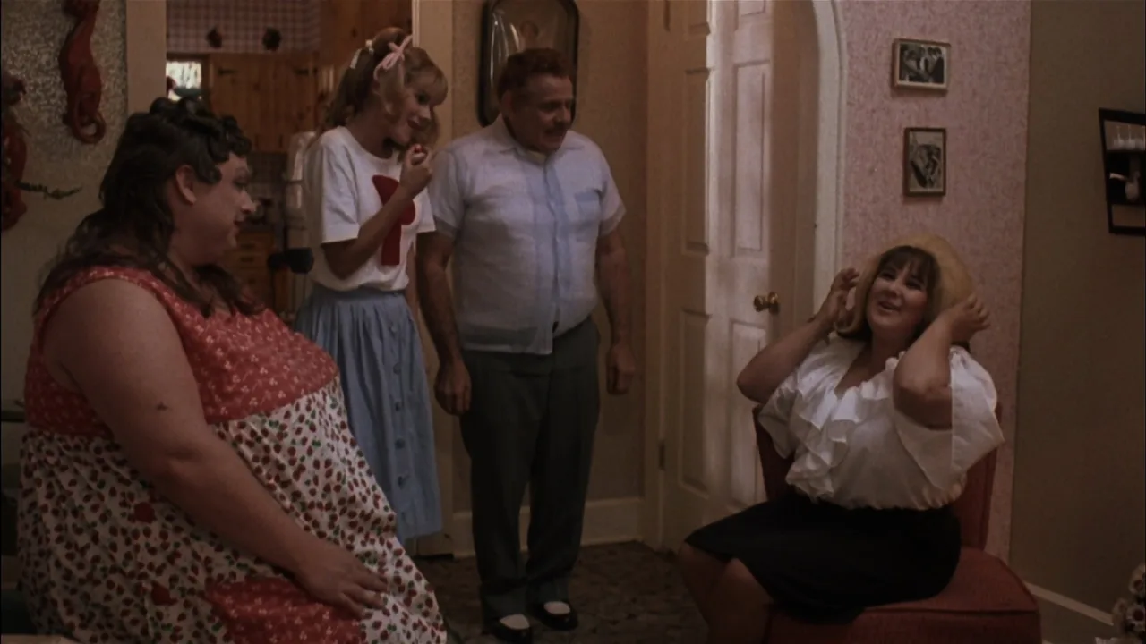 Hairspray İndir - görsel 7