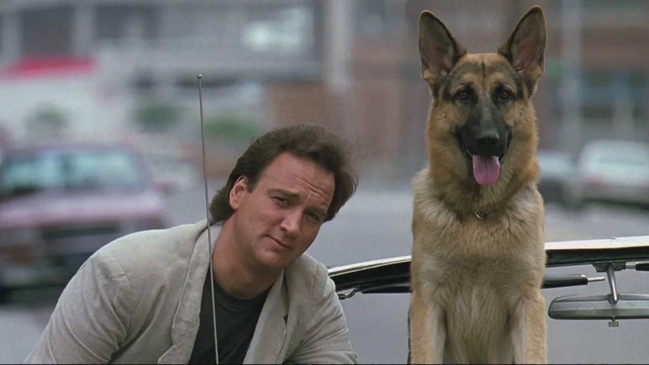 K-9 İndir - görsel 8