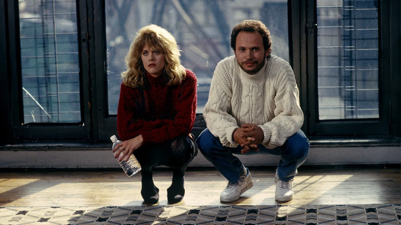 Harry Sally ile Tanışınca İndir - görsel 7